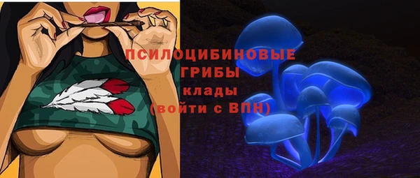 винт Баксан
