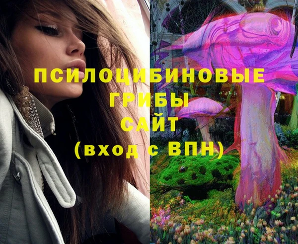 винт Баксан
